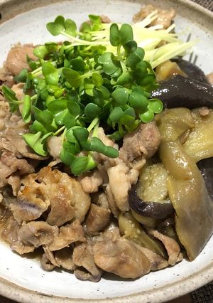 ナスと牛肉のさっぱり煮 ポン酢で簡単！-レシピのメイン写真