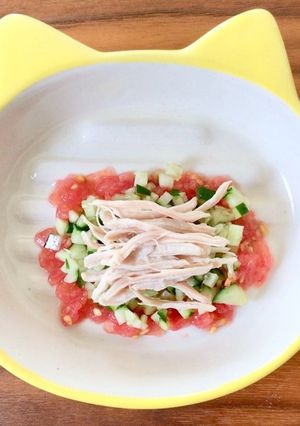 夏にぴったり♫棒棒鶏【猫のおやつ】-レシピのメイン写真