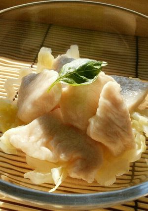 犬ご飯　ぷるぷる茹で鶏-レシピのメイン写真