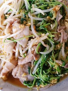 おろしのたれで豆苗とモヤシの卵炒め-レシピのメイン写真