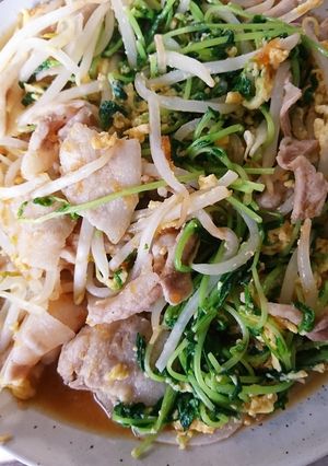 おろしのたれで豆苗とモヤシの卵炒め-レシピのメイン写真
