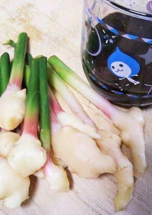 簡単なのに美味しい♫葉生姜の醤油漬け-レシピのメイン写真