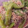 簡単美味・青唐辛子の甘辛炒め煮