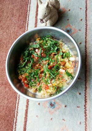 ビーガンチックな子犬のご飯-レシピのメイン写真