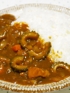 夏にピッタリ!ゴーヤのカレー♪-レシピのメイン写真