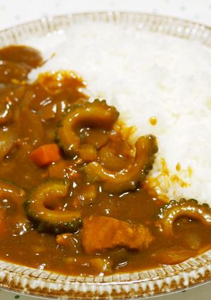 夏にピッタリ！ゴーヤのカレー♪-レシピのメイン写真