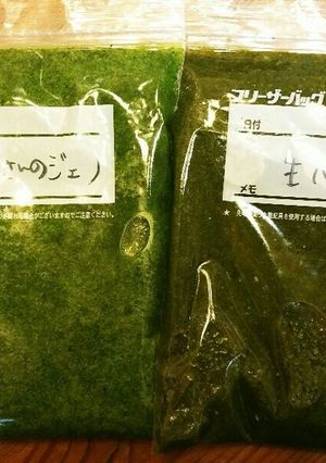 色が綺麗！全然違うジェノベーゼ-レシピのメイン写真