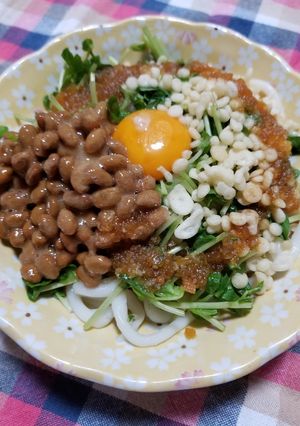 納豆サラダうどん-レシピのメイン写真