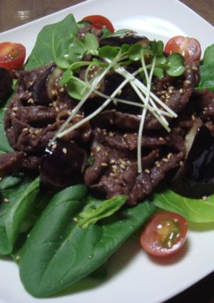 あたたか焼肉サラダ-レシピのメイン写真