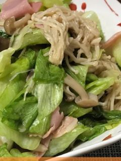 きのことレタスの和風サラダ-レシピのメイン写真