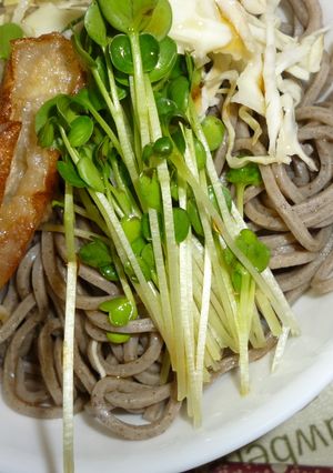 天ぷらのっけそば♪-レシピのメイン写真