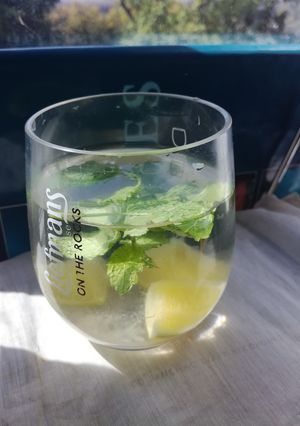 夏モヒート(virgin mojito)-レシピのメイン写真