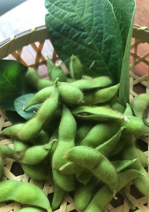 時短！！枝豆の茹で方(無水鍋)-レシピのメイン写真