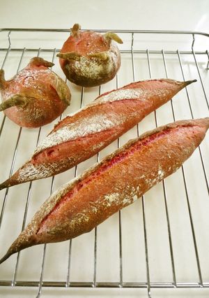 プチ✿フィセル&クッペ ビーツ-レシピのメイン写真