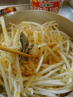 最速のもやしの煮干しラーメン-レシピのメイン写真