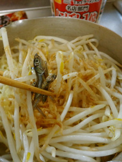 最速のもやしの煮干しラーメン-レシピのメイン写真
