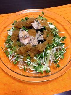 サバ缶の大根サラダ-レシピのメイン写真