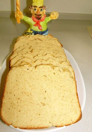 糖質制限　おから80%de主食パン-Ⅱ-レシピのメイン写真