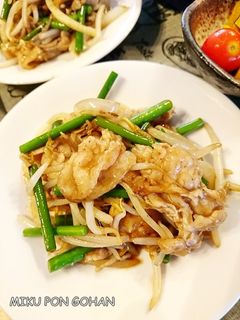 豚バラとにんにくの芽のピリ辛中華炒め-レシピのメイン写真
