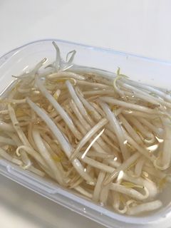 もやしの保存-レシピのメイン写真