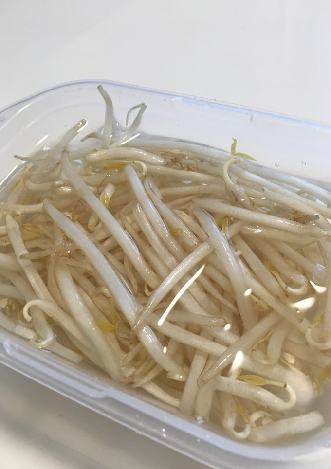 もやしの保存-レシピのメイン写真