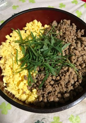 簡単そぼろ丼-レシピのメイン写真
