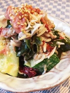 *しらす・きゅうり・海藻の梅マヨ和え*-レシピのメイン写真