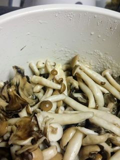 作り置きレンジで塩麹きのこ-レシピのメイン写真