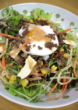 野菜た～っぷり♡♡ビビンバ丼-レシピのメイン写真