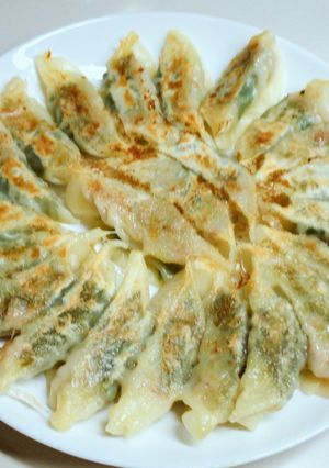 ツナと大葉のヘルシー餃子-レシピのメイン写真