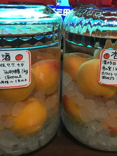 2018杏酒-レシピのメイン写真
