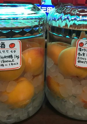 2018杏酒-レシピのメイン写真