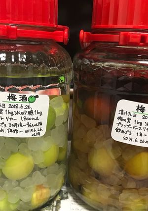 2018梅酒-レシピのメイン写真