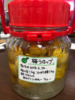 簡単梅シロップ-レシピのメイン写真