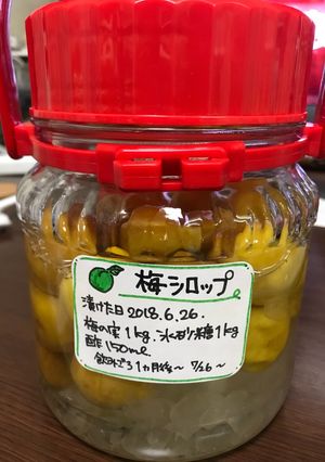 簡単梅シロップ-レシピのメイン写真