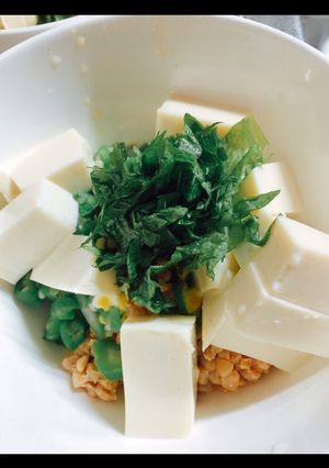 栄養満点 豆腐-レシピのメイン写真