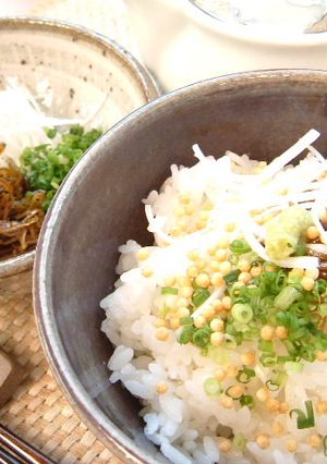 サラサラ茶漬け-レシピのメイン写真