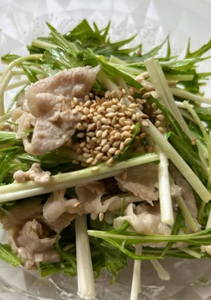 豚しゃぶと水菜のサラダ-レシピのメイン写真