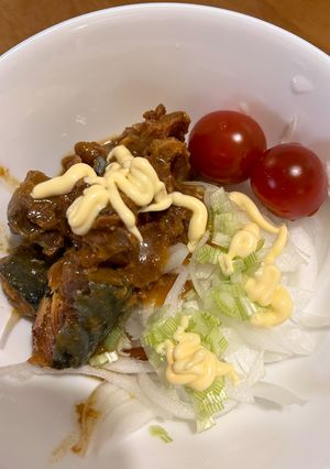 鯖の味噌煮でサラダ-レシピのメイン写真
