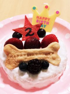 超簡単!犬用ケーキ!-レシピのメイン写真