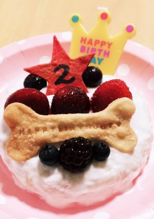 超簡単！犬用ケーキ！-レシピのメイン写真