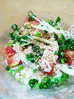 簡単 さっぱり素麺-レシピのメイン写真