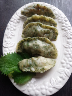 青じそ焼き餃子 青じそ大量消費-レシピのメイン写真
