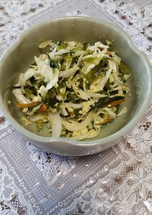 簡単☆ネバネバめかぶ野沢菜豆腐-レシピのメイン写真