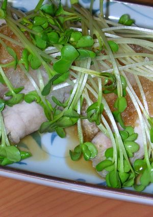 豚とえのきでレンジのさっぱり蒸し-レシピのメイン写真