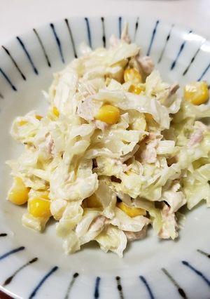 小学校のコールスロー♪-レシピのメイン写真