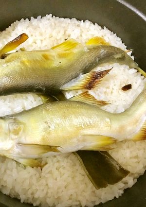 鮎ご飯-レシピのメイン写真