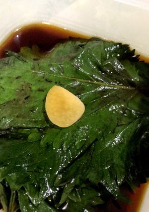 大葉のにんにくめんつゆ漬け-レシピのメイン写真
