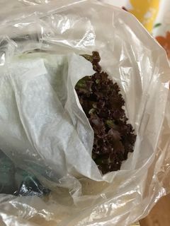 サニーレタスの保存-レシピのメイン写真