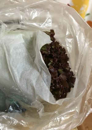 サニーレタスの保存-レシピのメイン写真